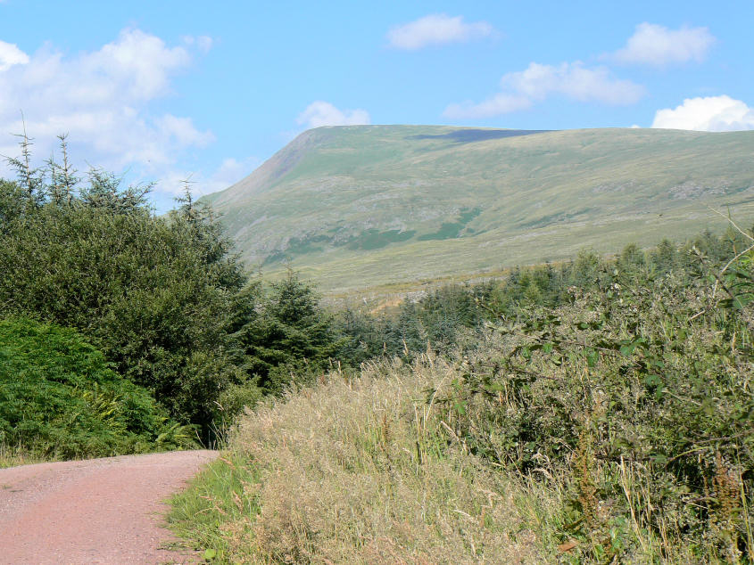 Seatallan Seatallan